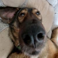 TikTok Account - hannka_byhanka...ofc