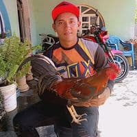 TikTok Account - luigim_91