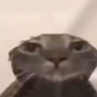 TikTok Account - superhiperyt