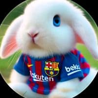 TikTok Account - el.conejo.feliz