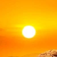 TikTok Account - apple21271