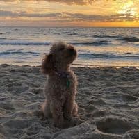 TikTok Account - xhappytravelz