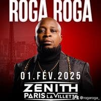 TikTok Account - rogaroga_