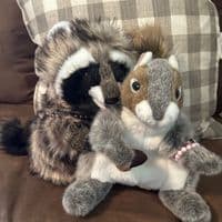 TikTok Account - pipsnroxystudios