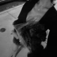 TikTok Account - sstaytruuee