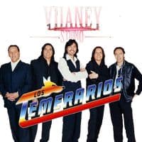 TikTok Account - viianeystudio