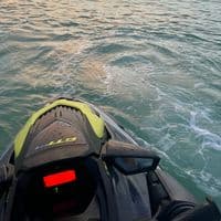 TikTok Account - srq_papi