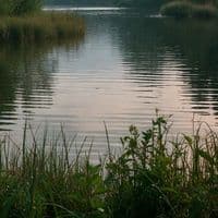 TikTok Account - jhanvikapoor423