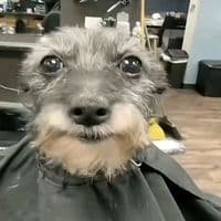 TikTok Account - legit._tales