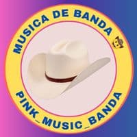 TikTok Account - pink_music_banda