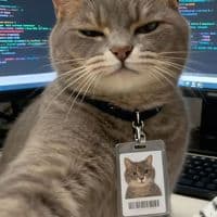 TikTok Account - mr.rin745