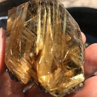 TikTok Account - rutilochapada