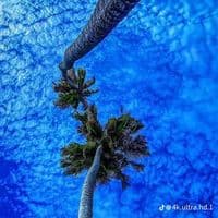 TikTok Account - storylik_paylasm