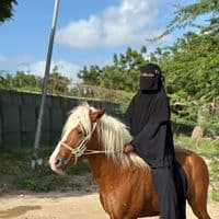 TikTok Account - shugria.arts.fara