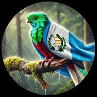 TikTok Account - gt502rd