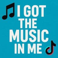 TikTok Account - lkkit90