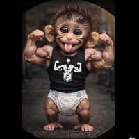 TikTok Account - menadzer_jsfit