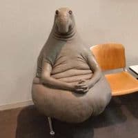 TikTok Account - dabigback