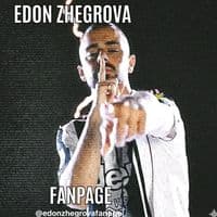 TikTok Account - edonzhegrovafanpage