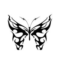 TikTok Account - serendipia_song