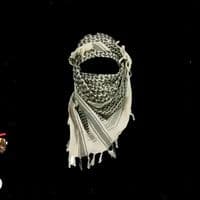 TikTok Account - ali__ms__06