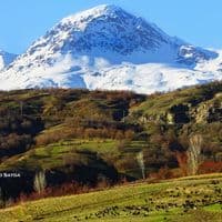 TikTok Account - gehadsayda