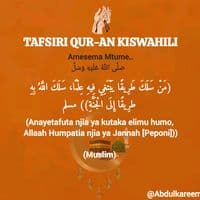 TikTok Account - karim...said100