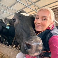 TikTok Account - mother_of_cows
