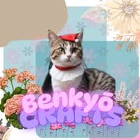 TikTok Account - benkyou_crafts