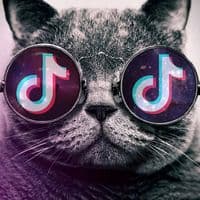 TikTok Account - user1852035143083