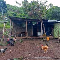 TikTok Account - 15deseptiembre1821