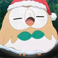 TikTok Account - aydentn