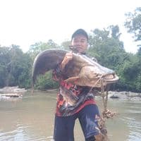 TikTok Account - ucih863