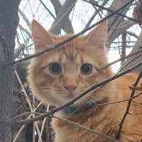 TikTok Account - ocm157