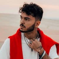 TikTok Account - bastiandelfin