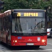 TikTok Account - dorcolac523