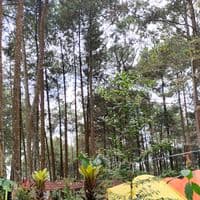 TikTok Account - upgradeourslf