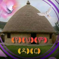 TikTok Account - temas6663