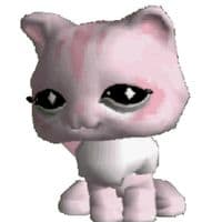 TikTok Account - emmydianewhite