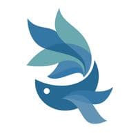 TikTok Account - bluefish.ec