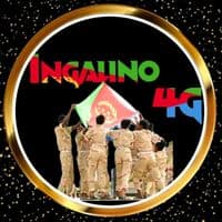 TikTok Account - 1hassanlee