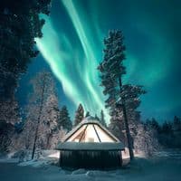 TikTok Account - auroravillageivalo