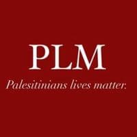 TikTok Account - rayennemoussi