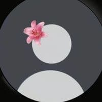 TikTok Account - jessell_