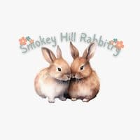 TikTok Account - smokey.hill.rabbi