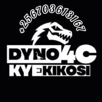 TikTok Account - dyno4c_kyekikosi