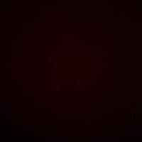 TikTok Account - escobarvi4