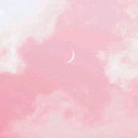 TikTok Account - liz.macedo14