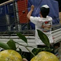 TikTok Account - pakedzaky