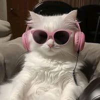 TikTok Account - _daily_dani